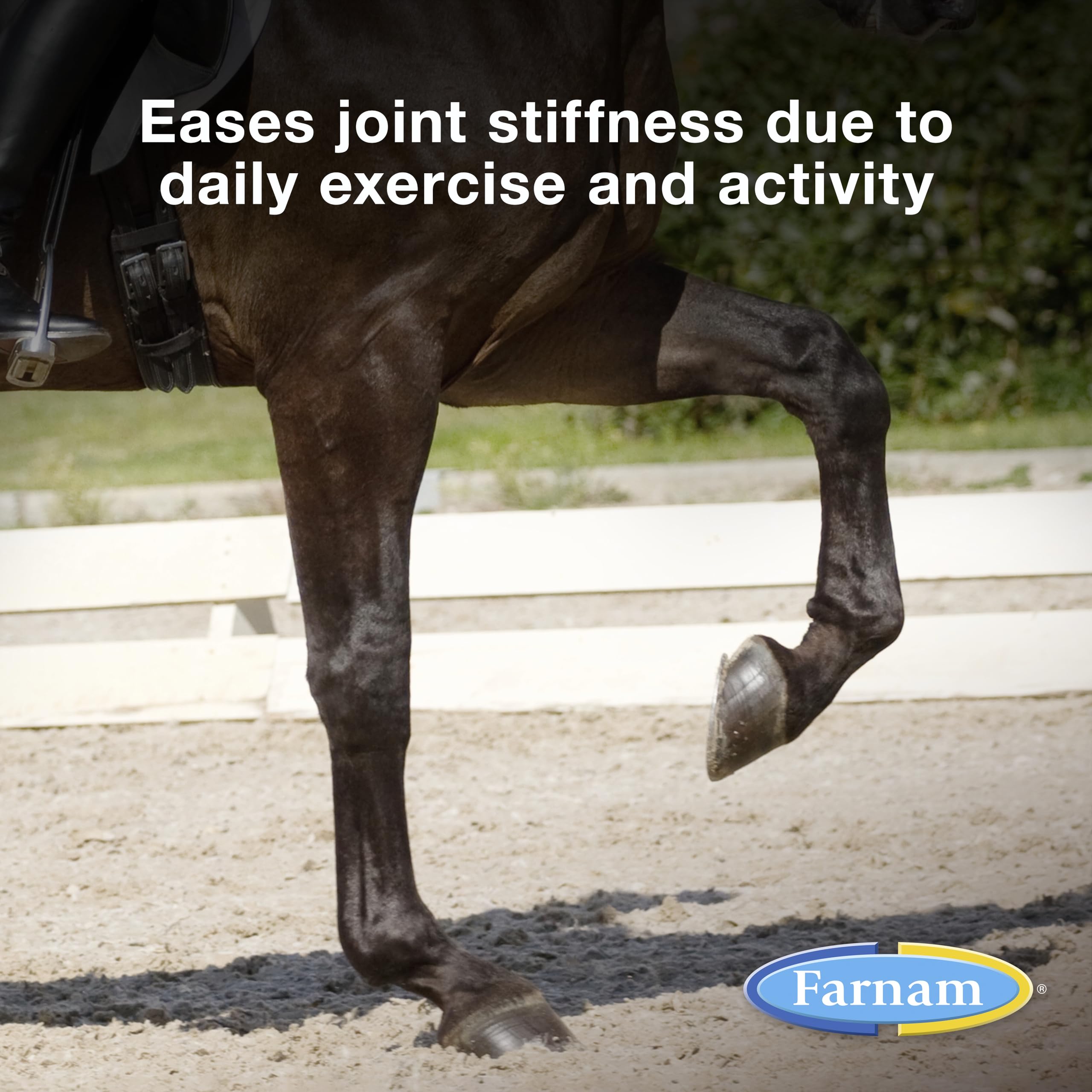 Farnam Next Level Joint Fluid measuring syringe ensures precise dosing for pets.