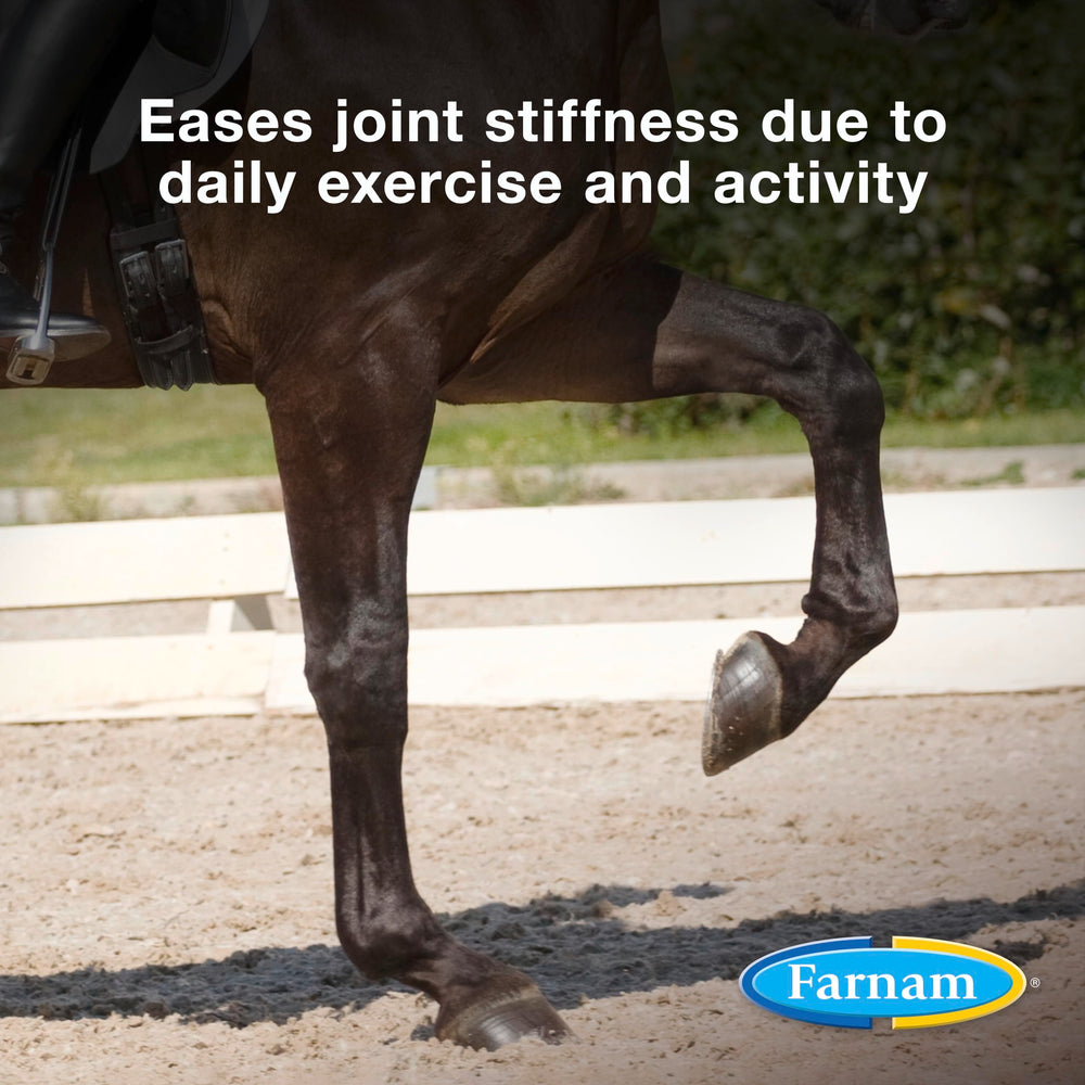 Farnam Next Level Joint Fluid measuring syringe ensures precise dosing for pets.