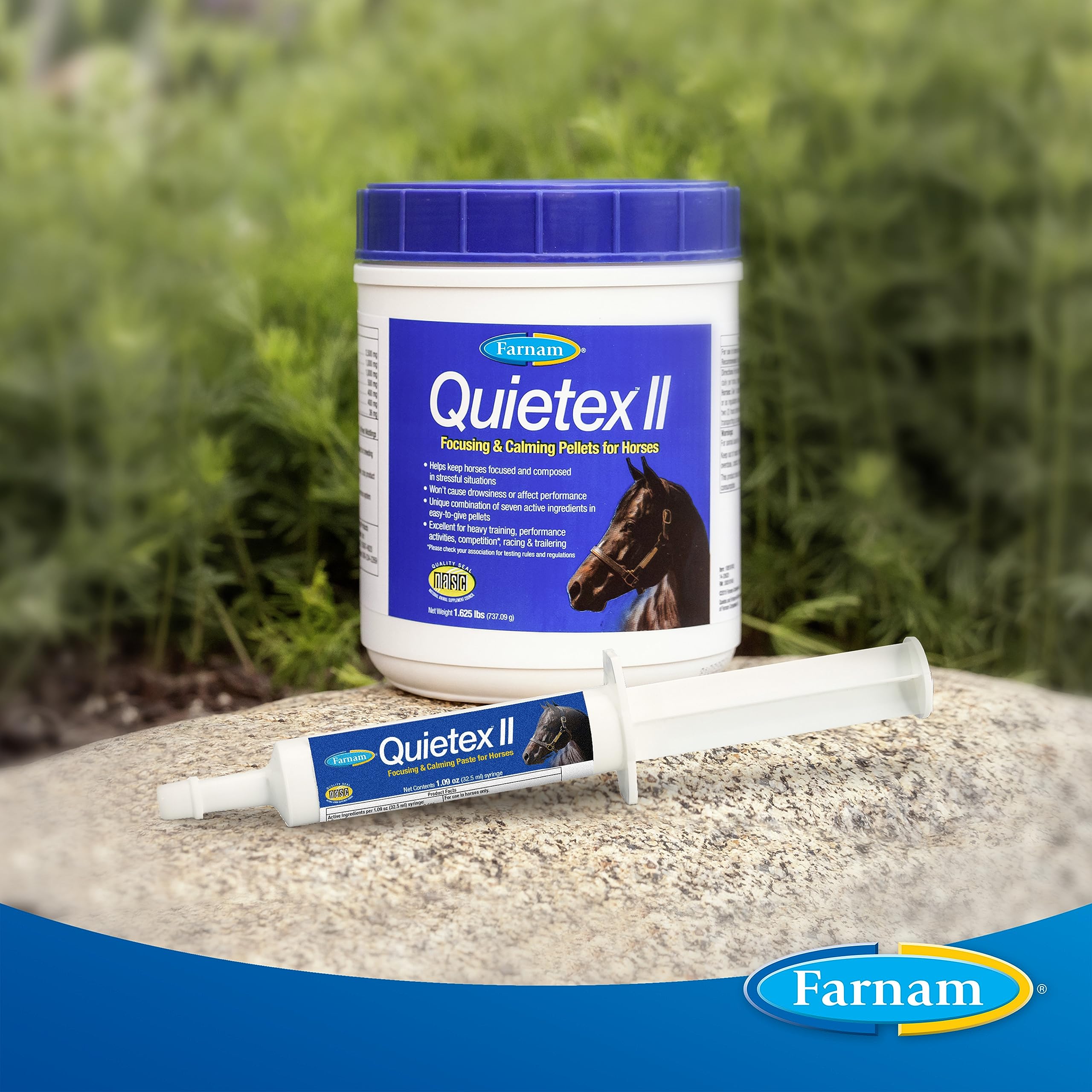 Horse in arena during training with Quietex II for focused performance