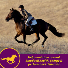 Farnam Red Cell label highlights iron content for horse nutrition
