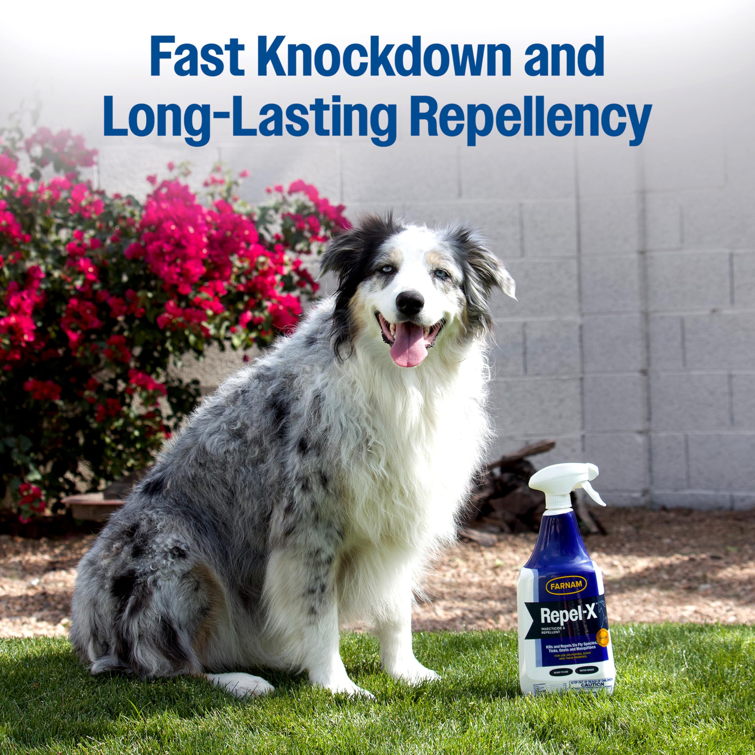 Farnam Repel-X pre-ride turnout spray offers quick pest relief before activities.