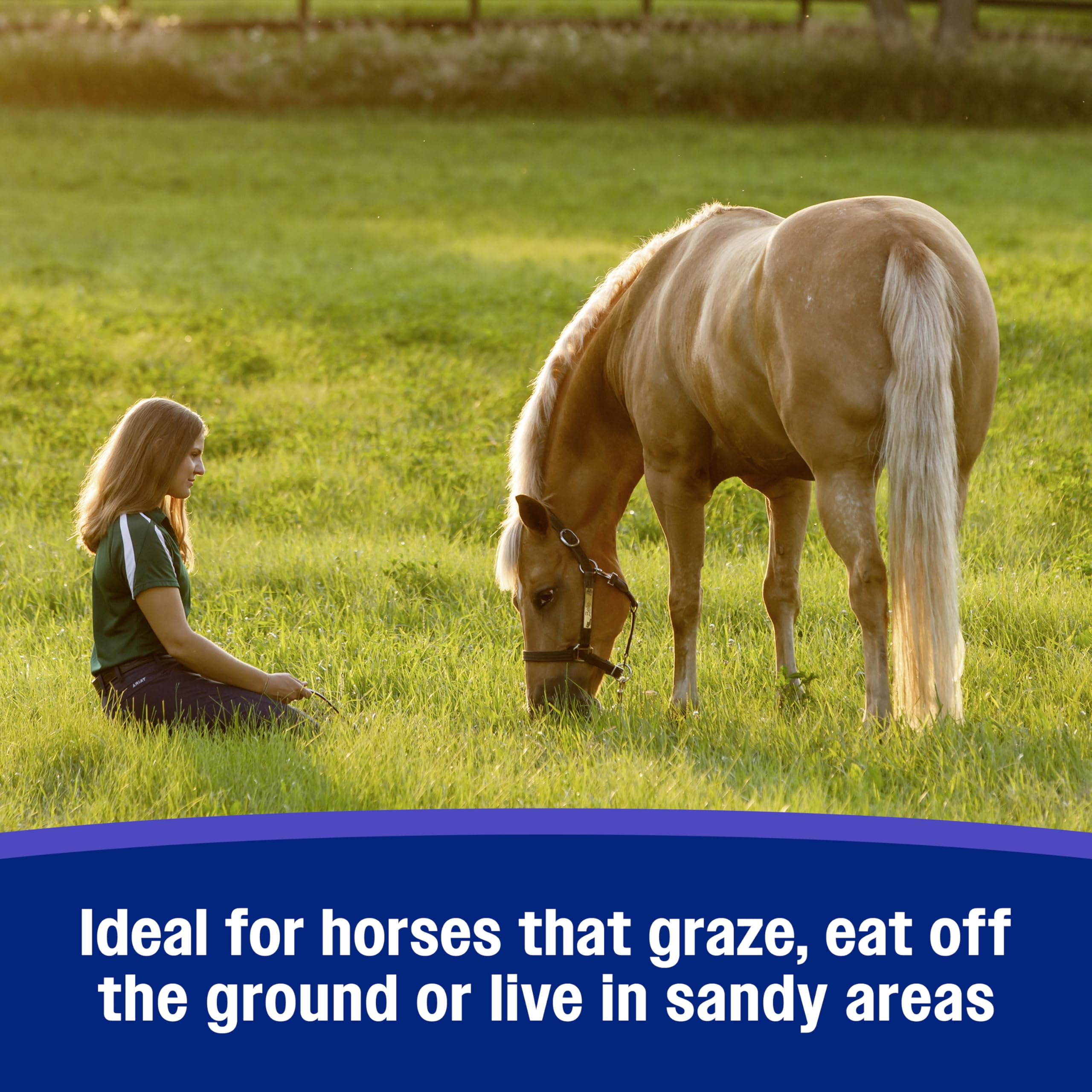 Farnam SandClear Crumbles supports sand removal in horses