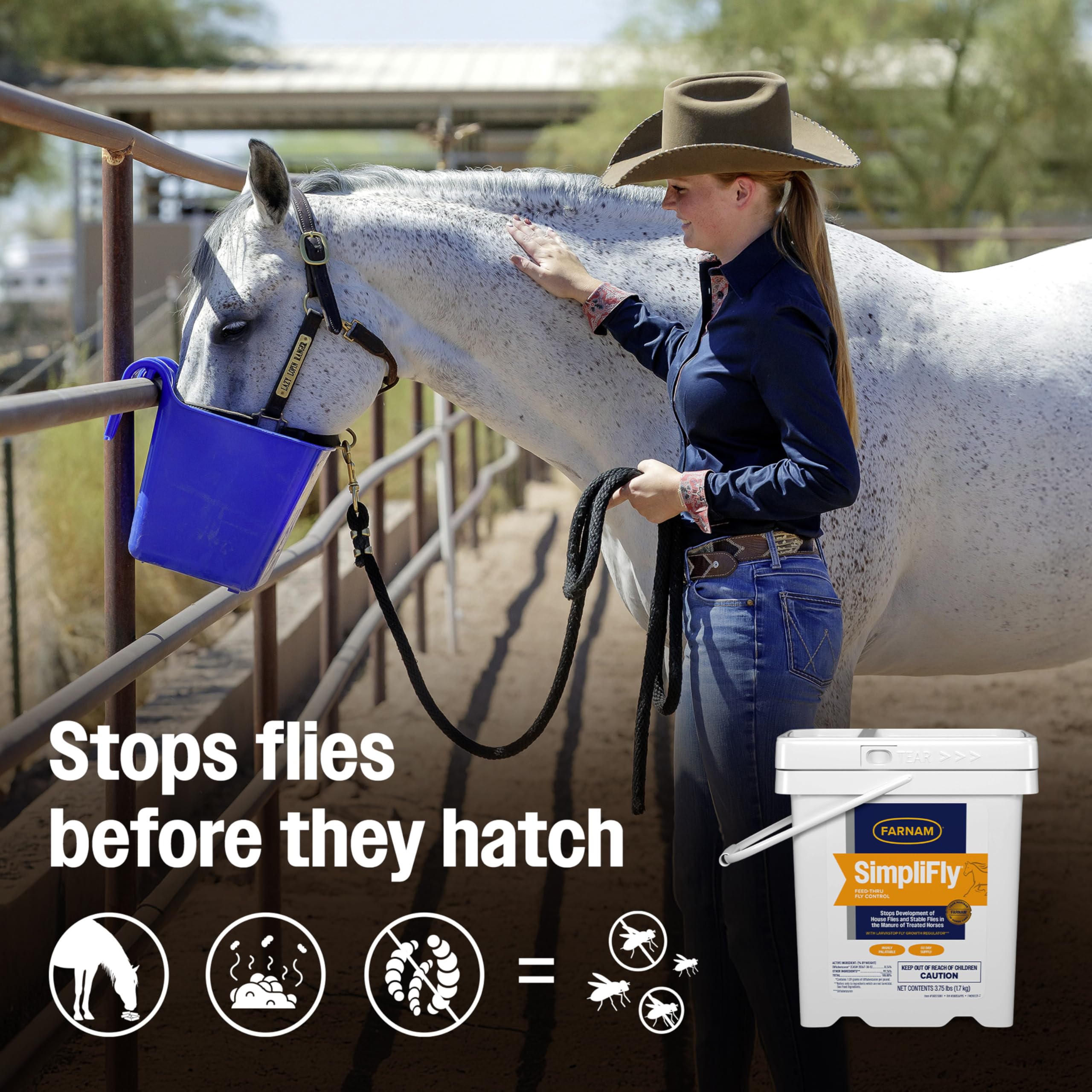 Horse at feeding area with SimpliFly pellets mixed into daily feed.