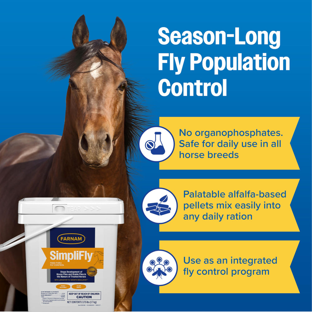 Barn setting with SimpliFly supporting stable fly control in stalls and pastures.