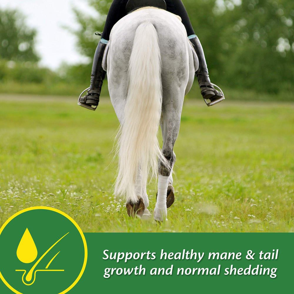 Farnam Super 14 coat shine on horse indicates vibrant color and luster.