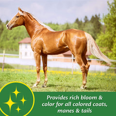 Farnam Super 14 coat shine close-up, showing a rich, gleaming coat.