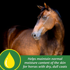 Farnam Super 14 horse coat close-up demonstrating vibrant color and depth.