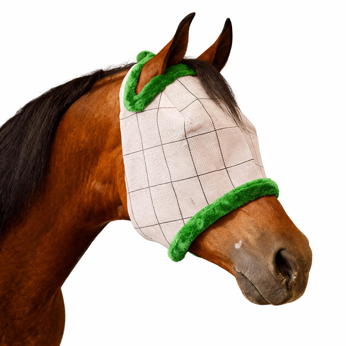 Farnam SuperMask II face coverage on a horse protects eyes and muzzle from flies