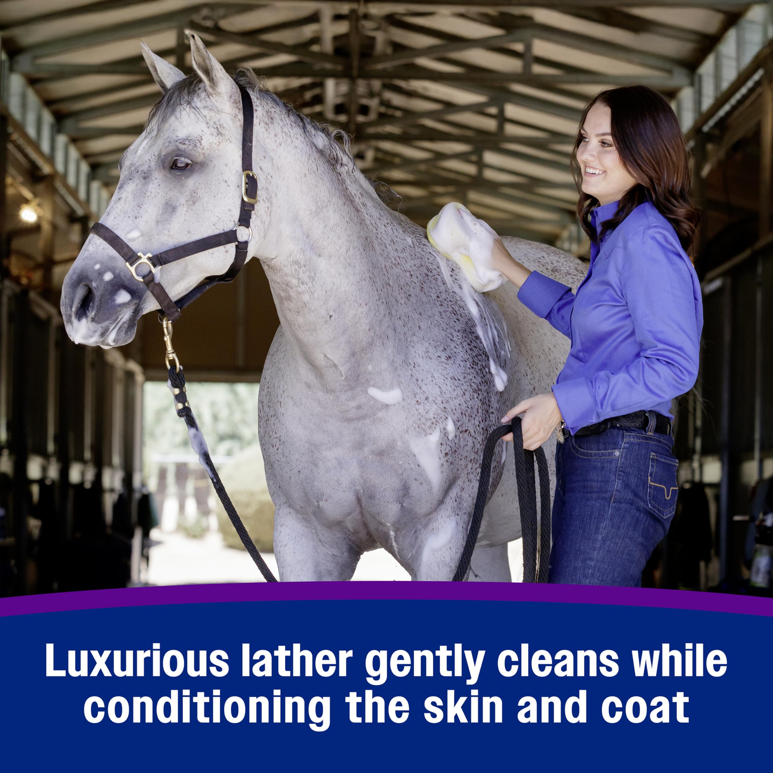 Farnam Vetrolin Bath conditioners protect coat from pollutants.