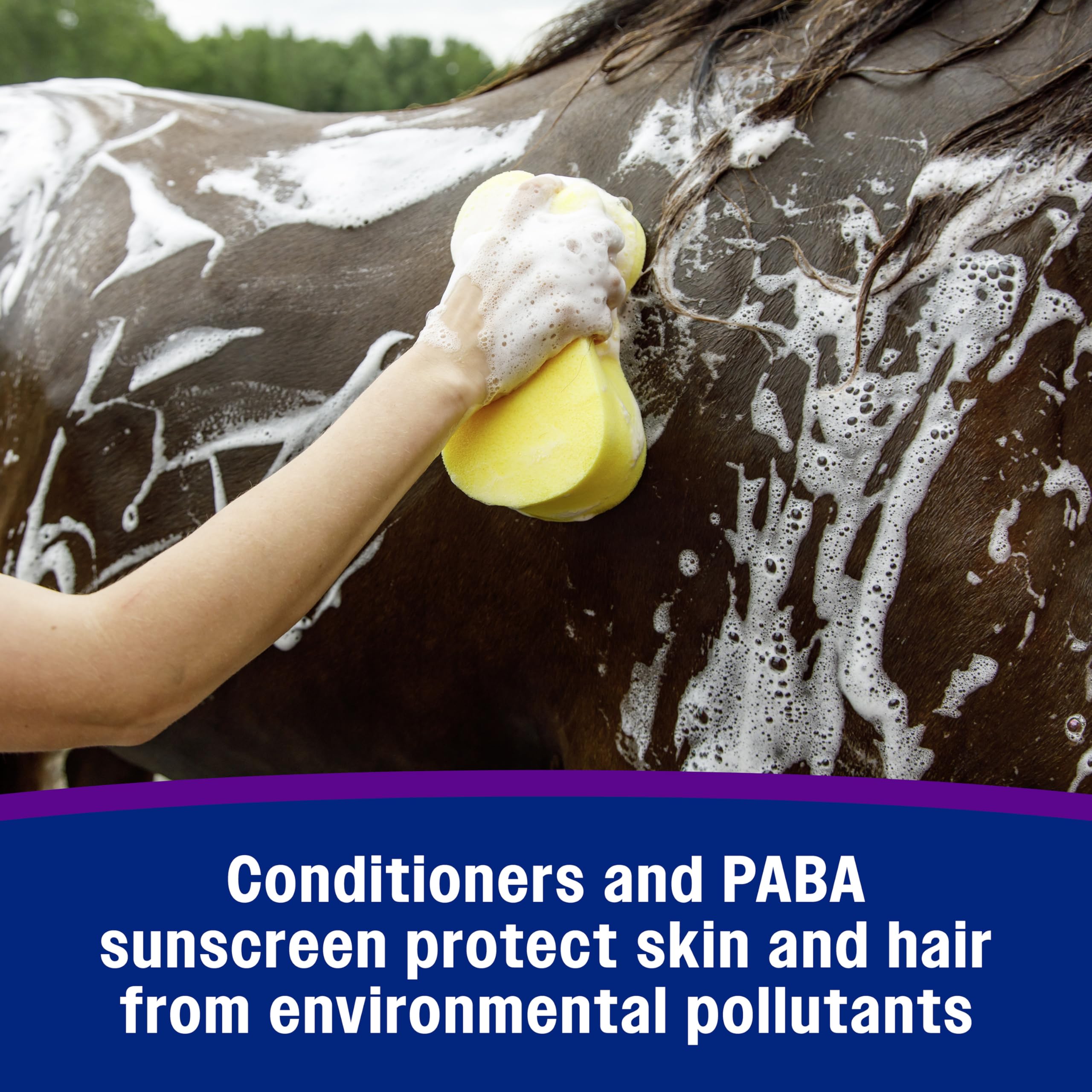 Farnam Vetrolin Bath concentrated formula saves time in grooming.