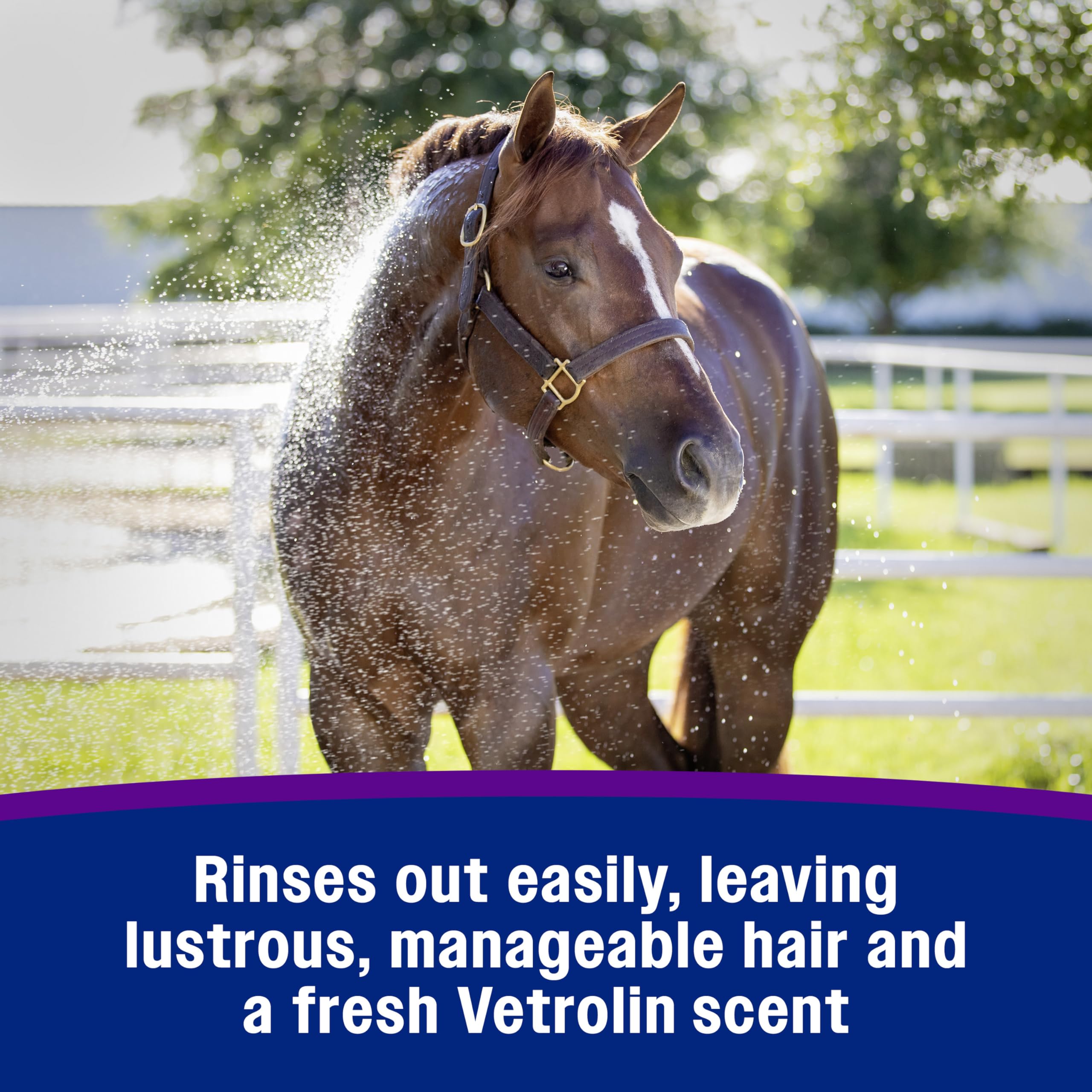 Farnam Vetrolin Bath horses and dogs of any color washing.