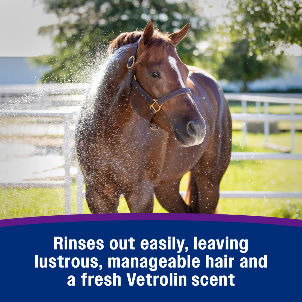 Farnam Vetrolin Bath horses and dogs of any color washing.