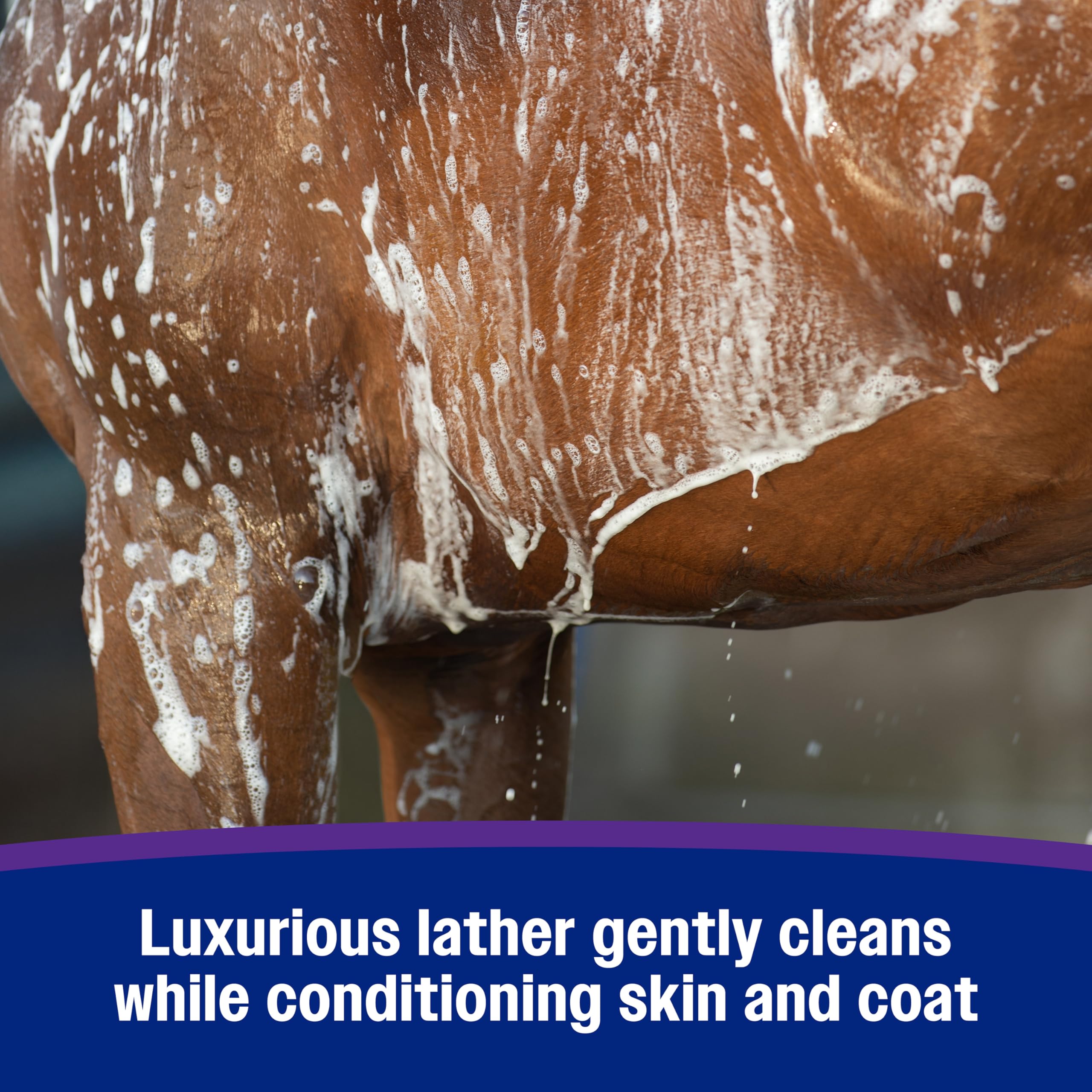 Farnam Vetrolin Body Wash moisturizes dry skin for a softer coat.