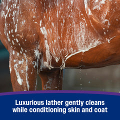 Farnam Vetrolin Body Wash moisturizes dry skin for a softer coat.