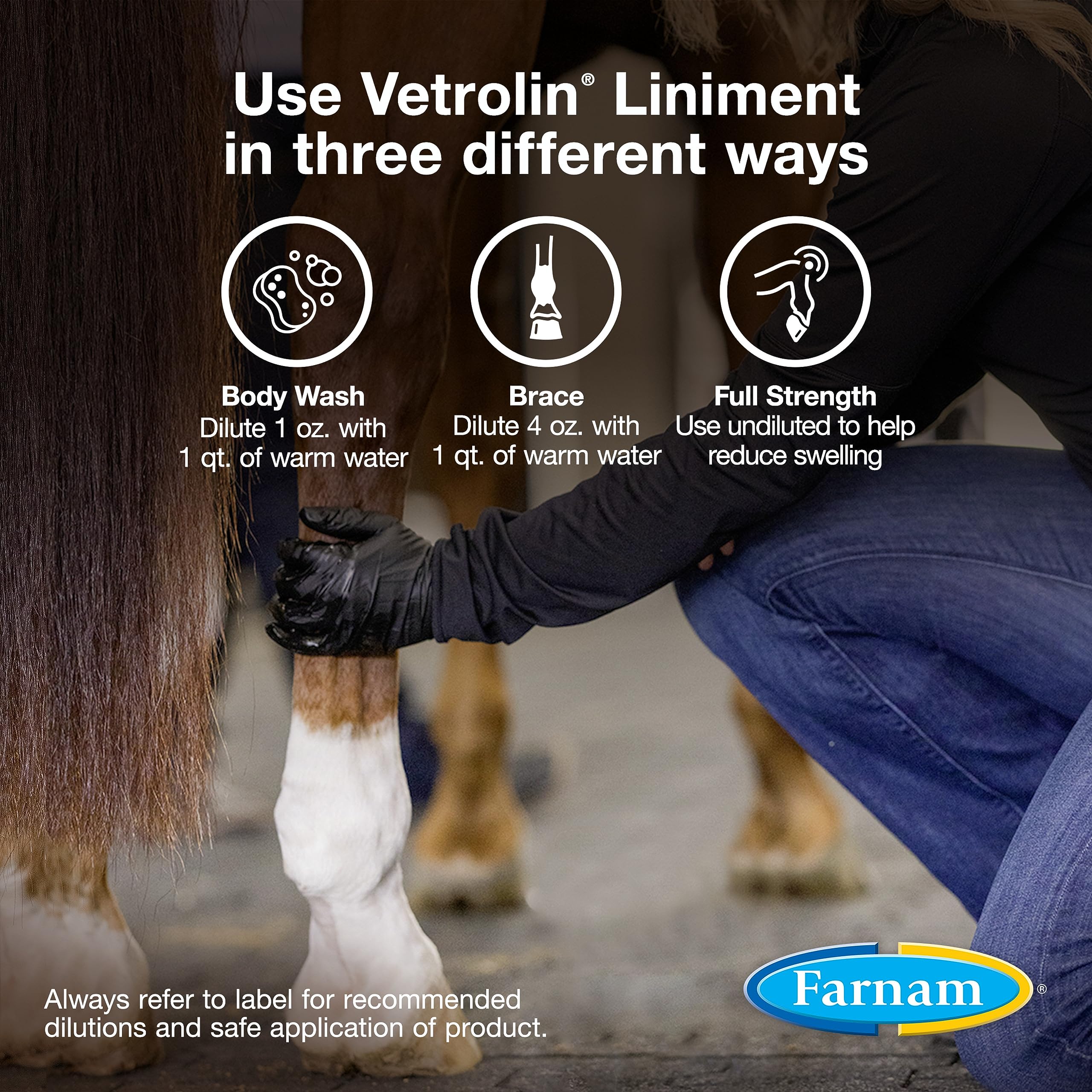Farnam Vetrolin liniment applied to ankles, knees, and tendons for support.