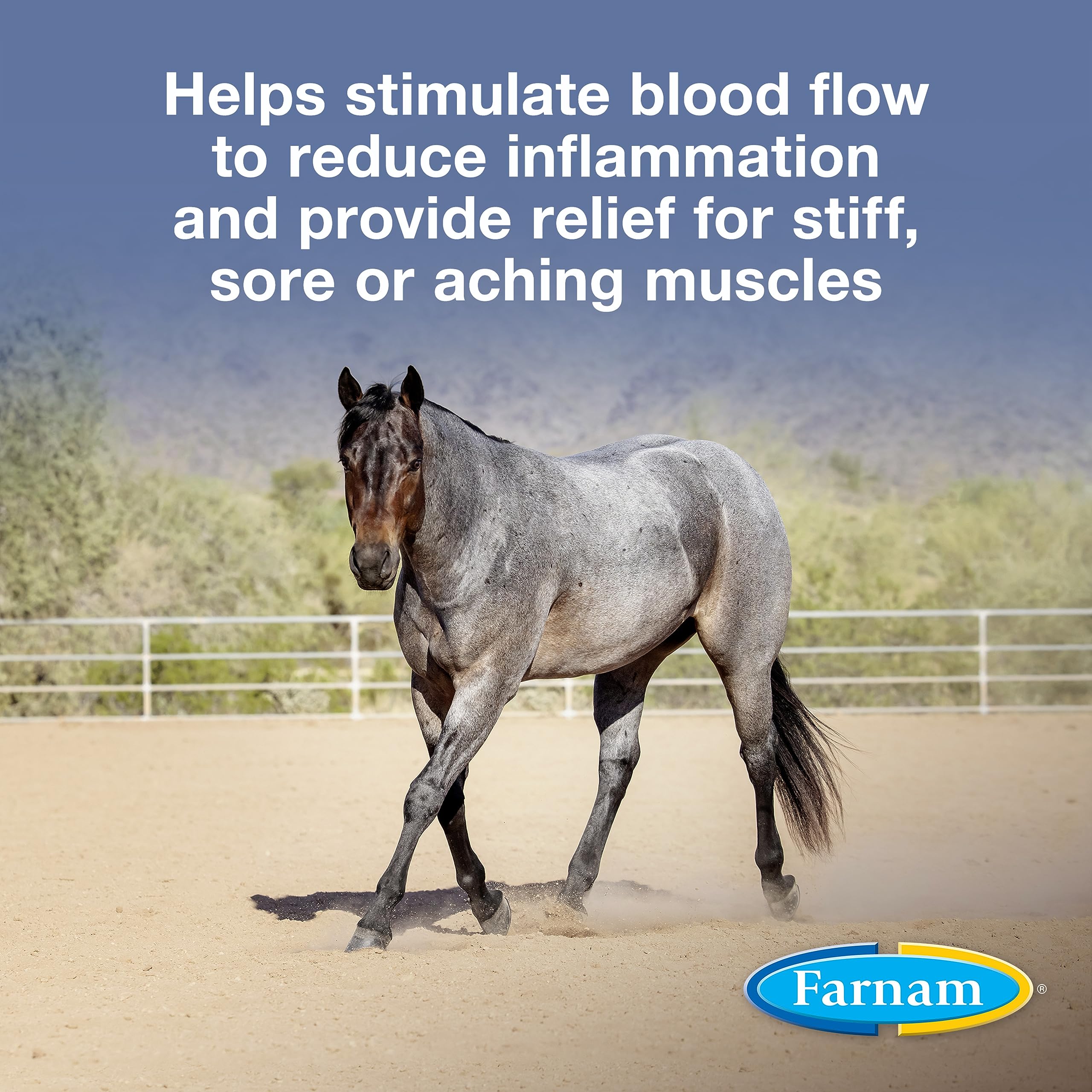 Farnam Vetrolin liniment on horse coat for a healthy shine.