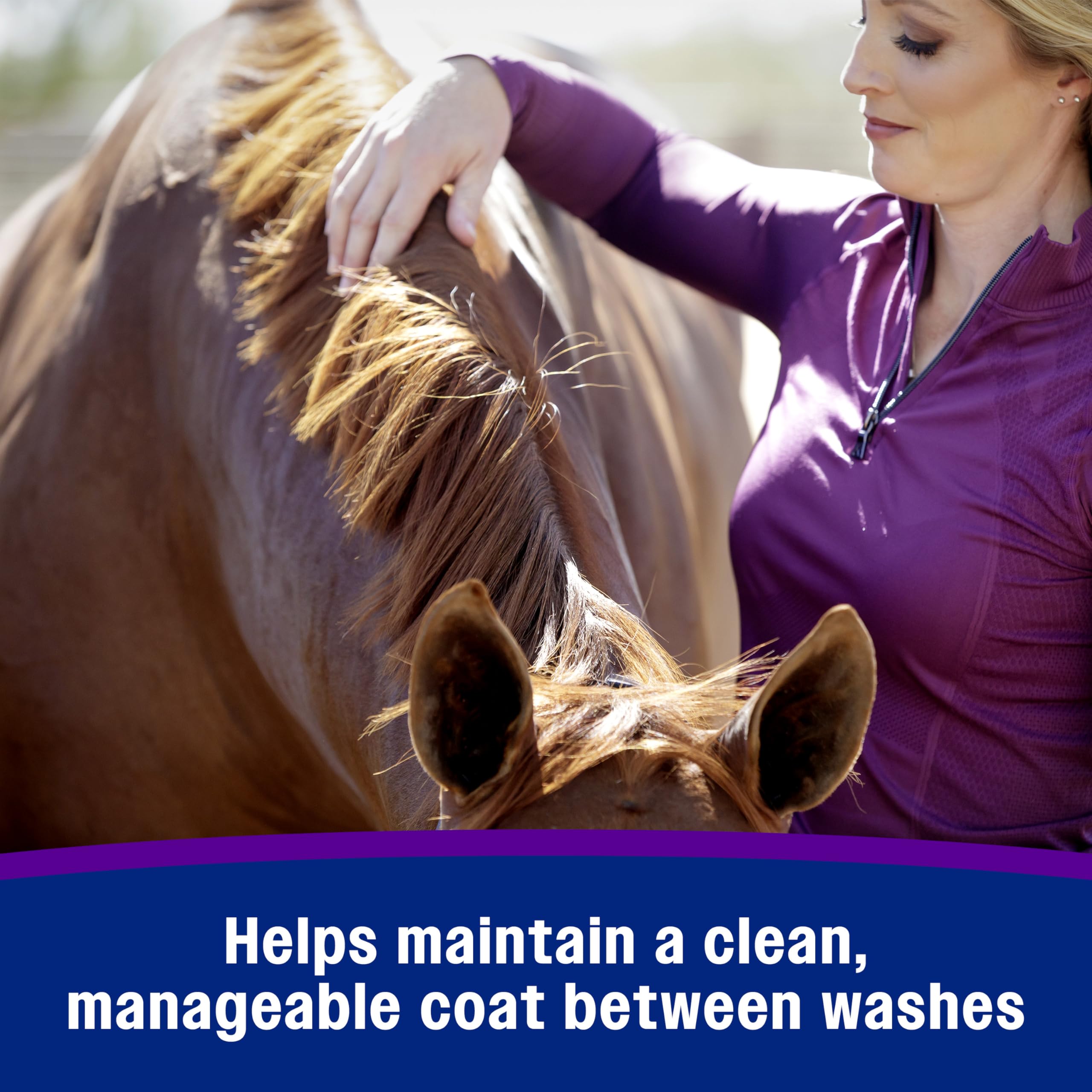 Farnam Vetrolin Shine on dog coat for versatile grooming between disciplines.
