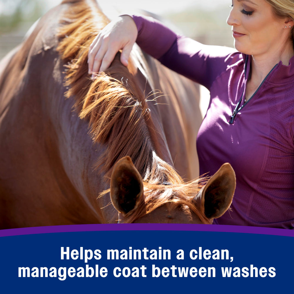 Farnam Vetrolin Shine on dog coat for versatile grooming between disciplines.