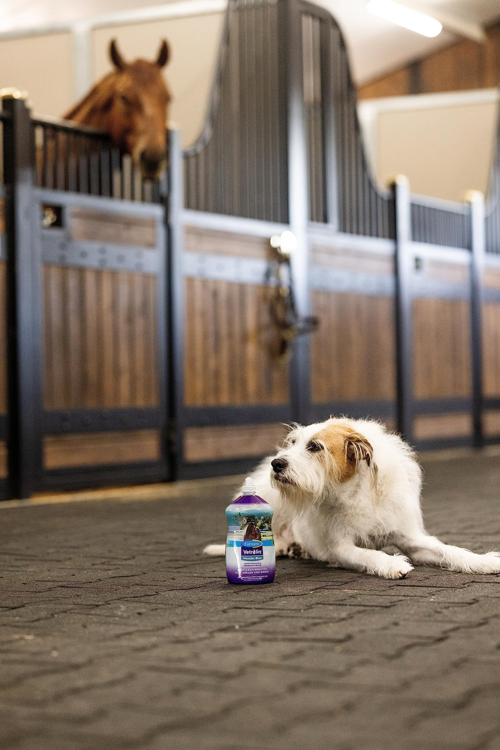 Long-lasting clean scent of Vetrolin Wonder Blue after bath