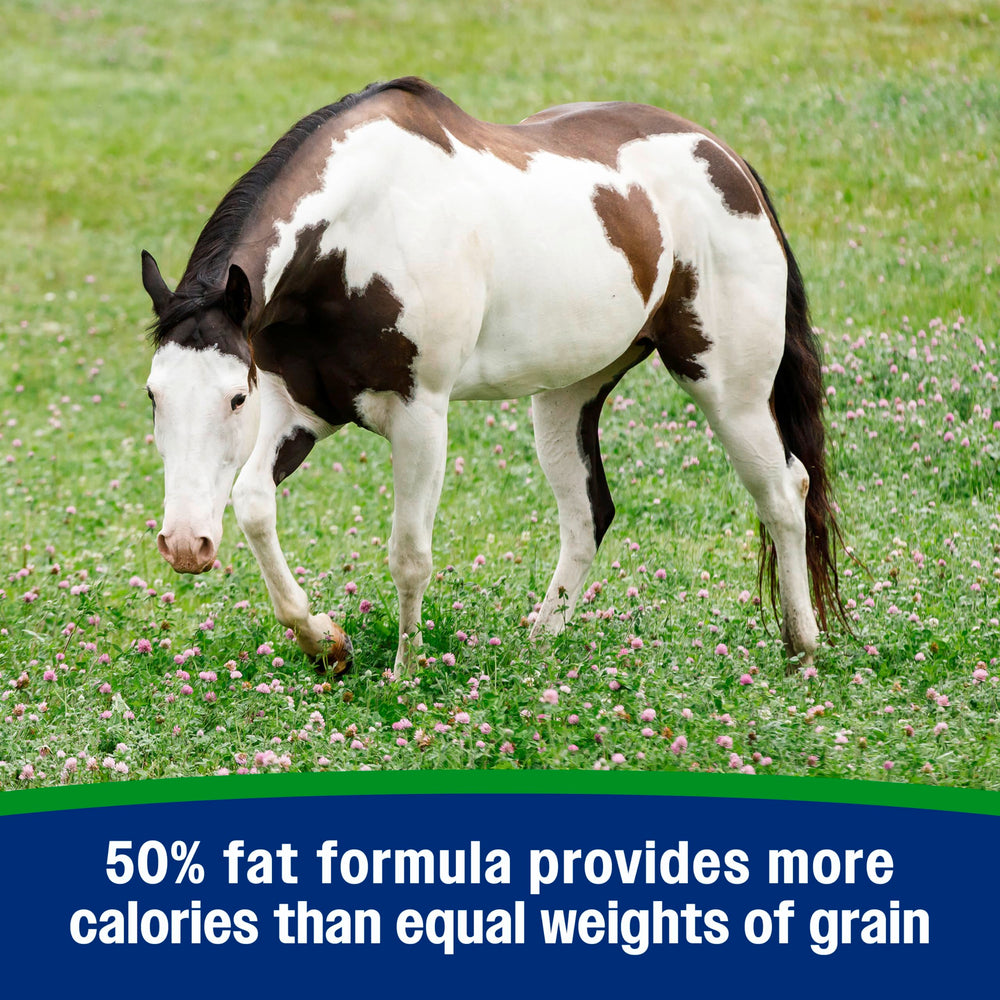 Farnam Weight Builder 50% fat formula provides concentrated calories