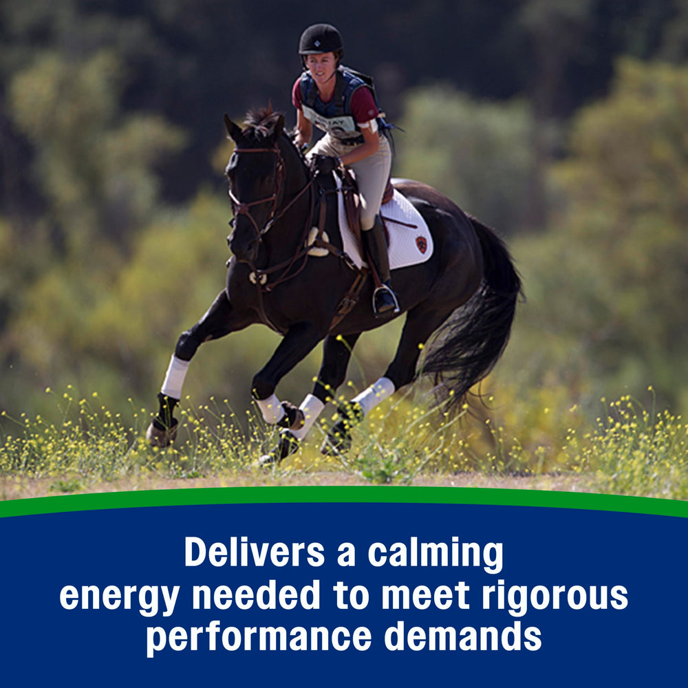 Palatable Farnam Weight Builder powder blends easily with daily grain