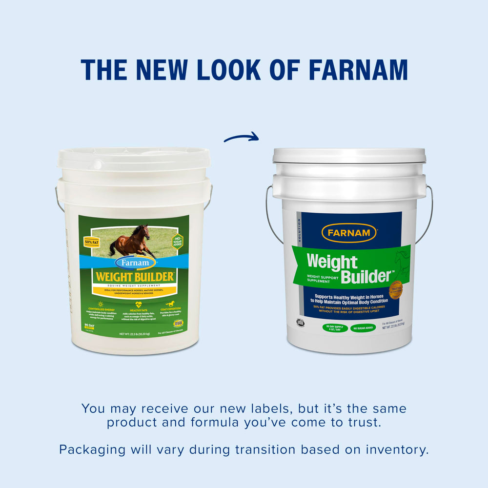 Scoop of Farnam Weight Builder powder ready to mix with grain