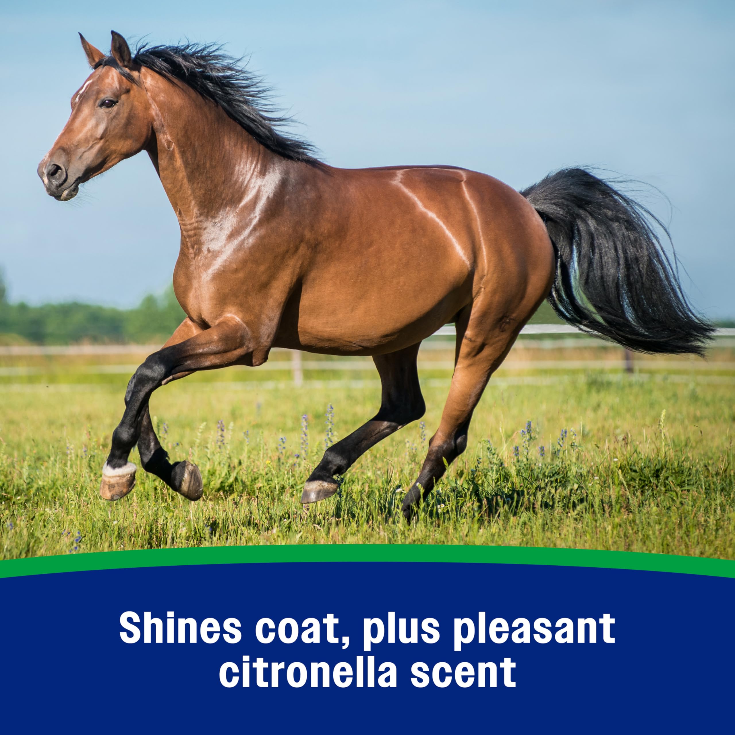 Farnam Wipe II coat-shine after brushing illustrates grooming benefits.