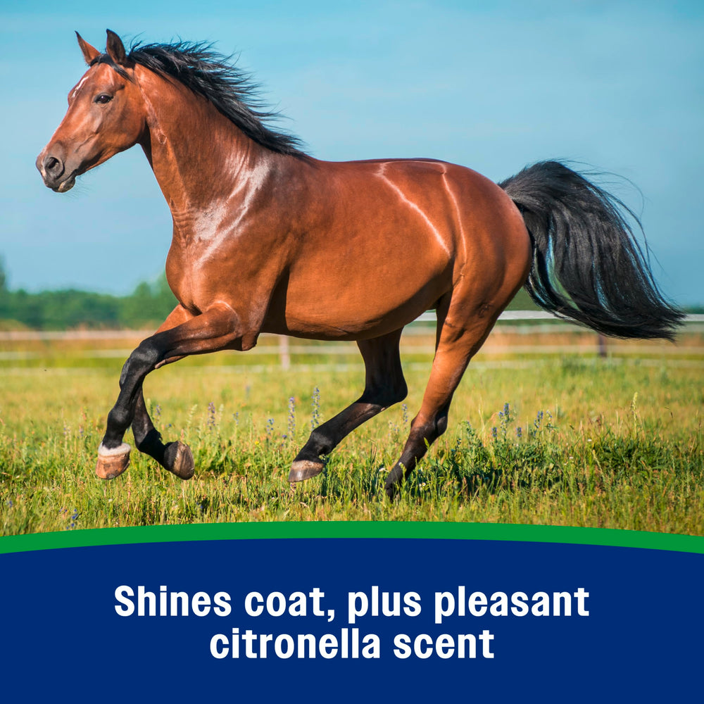 Farnam Wipe II coat-shine after brushing illustrates grooming benefits.