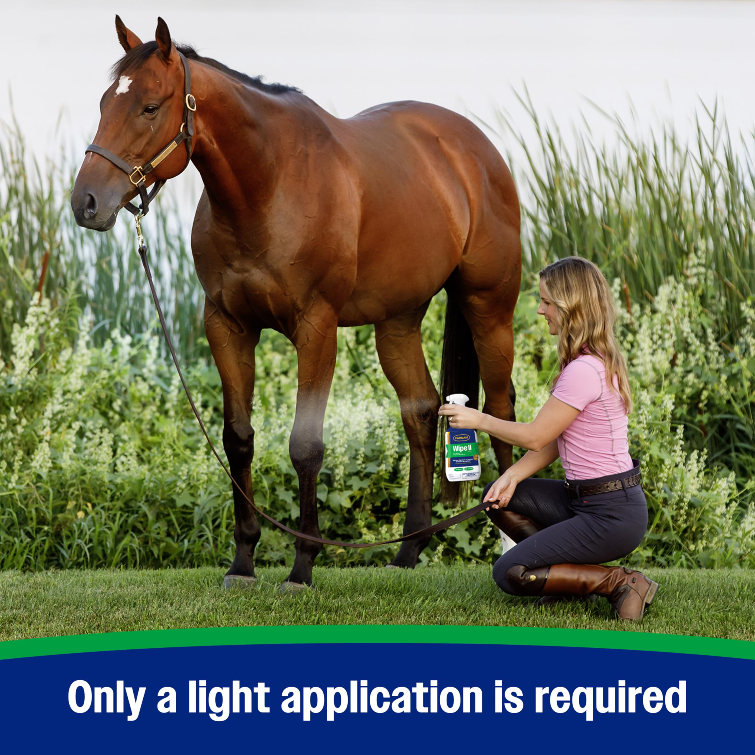 Farnam Wipe II mist around stable area for general fly control.