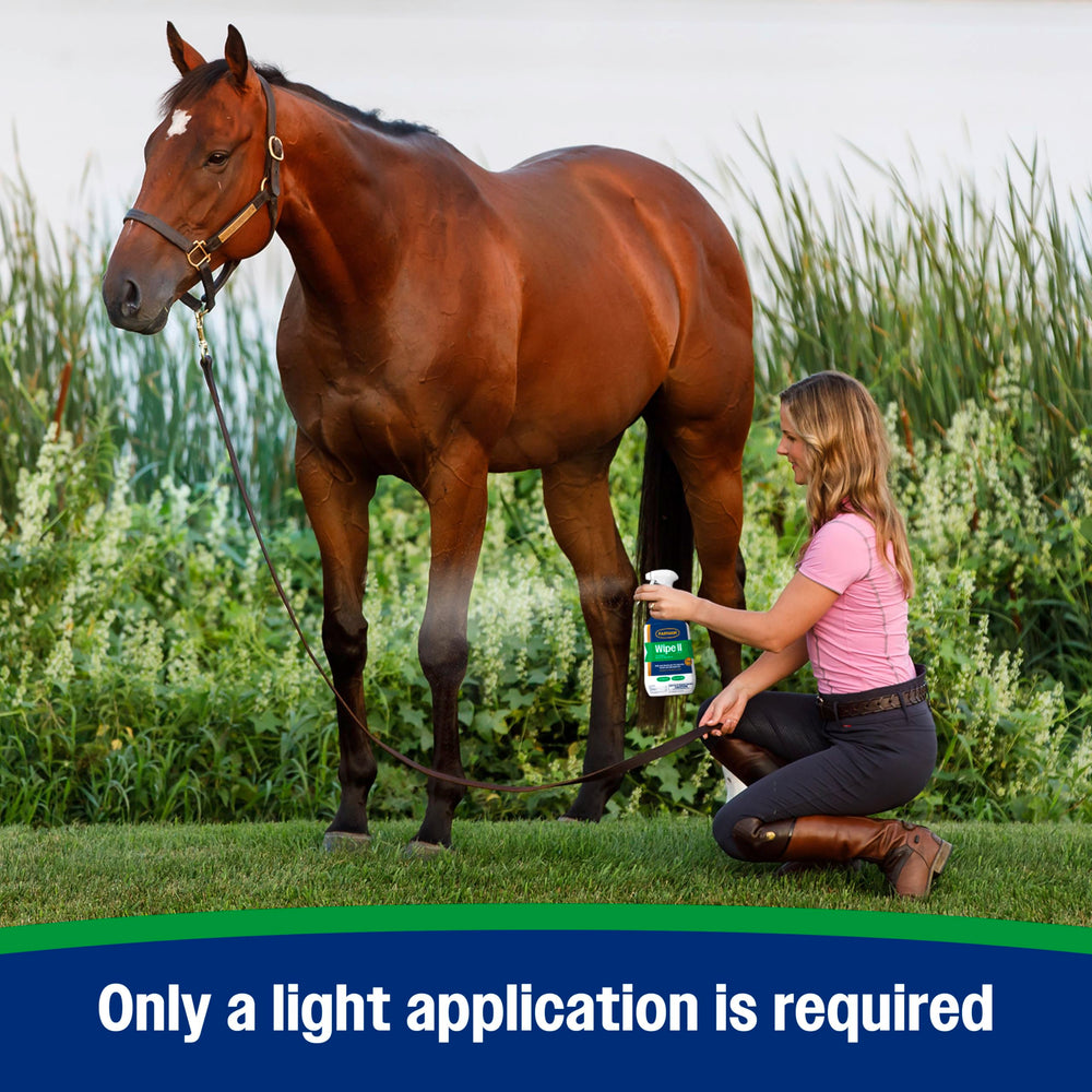 Farnam Wipe II mist around stable area for general fly control.