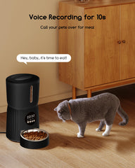 Faroro feeder with voice recording helping pets recognize feeding time