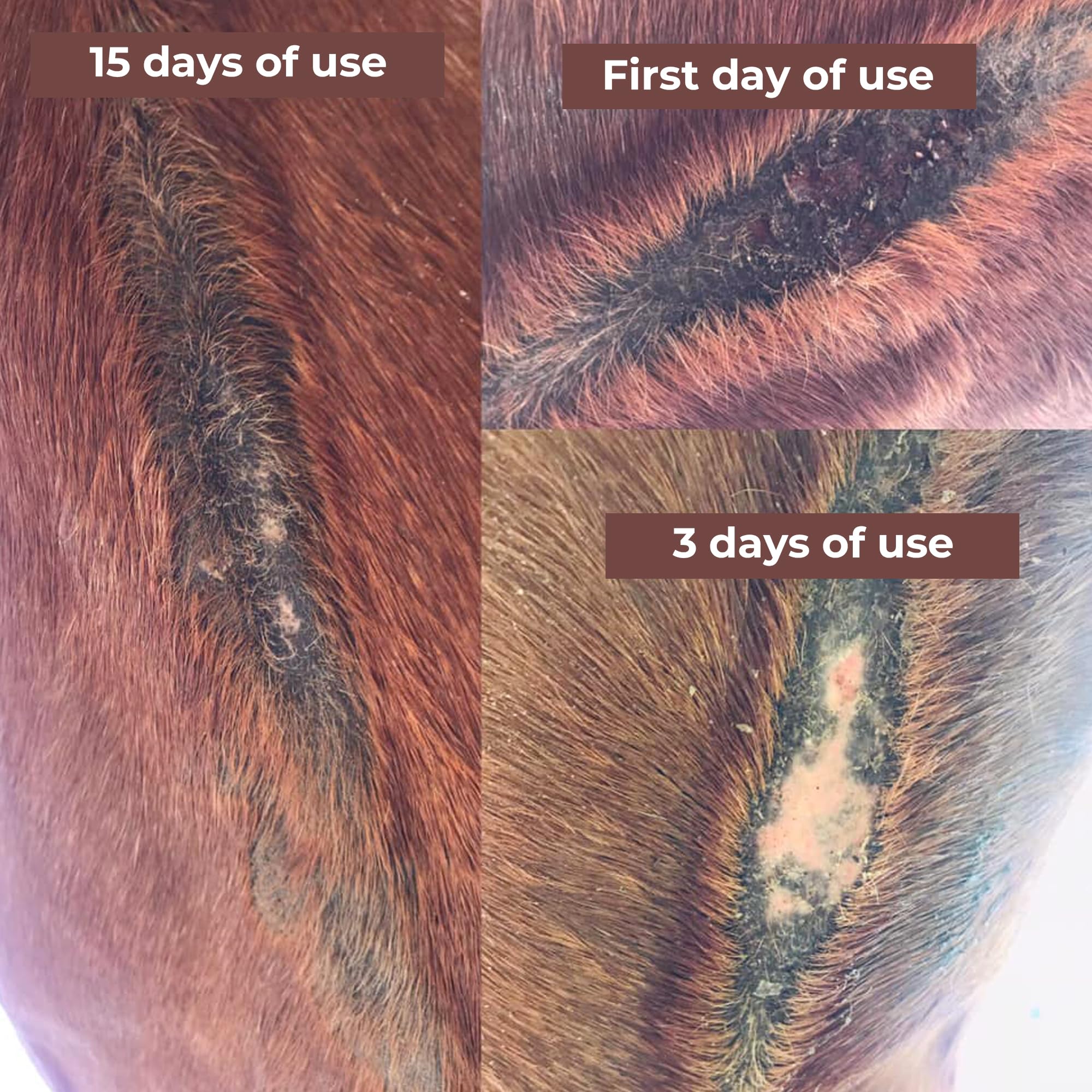 Farrier's Wife Belly Salve natural oils supporting skin comfort.