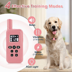 FASHILEAD 2000 ft range illustration for reliable outdoor training