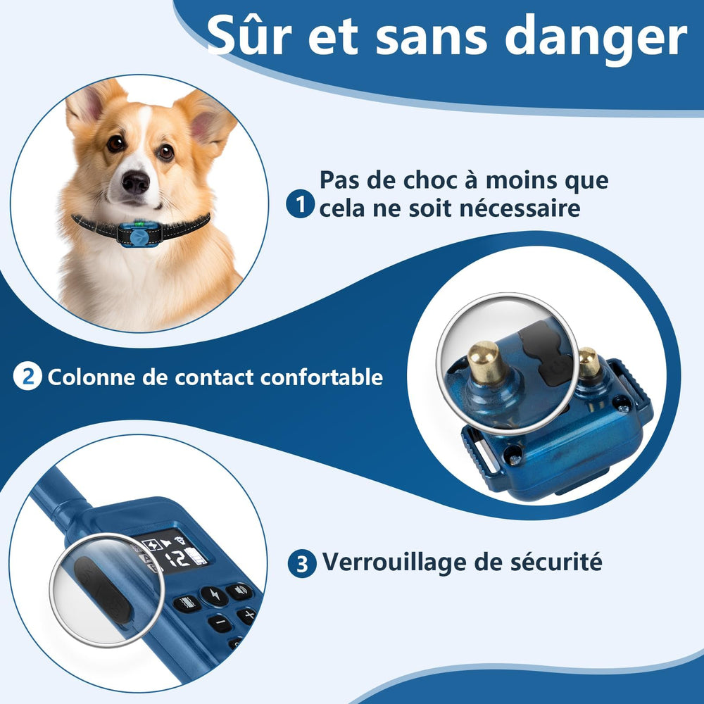 FASHILEAD lightweight collar at 1oz for small dogs during walks.