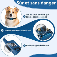 FASHILEAD lightweight collar at 1oz for small dogs during walks.
