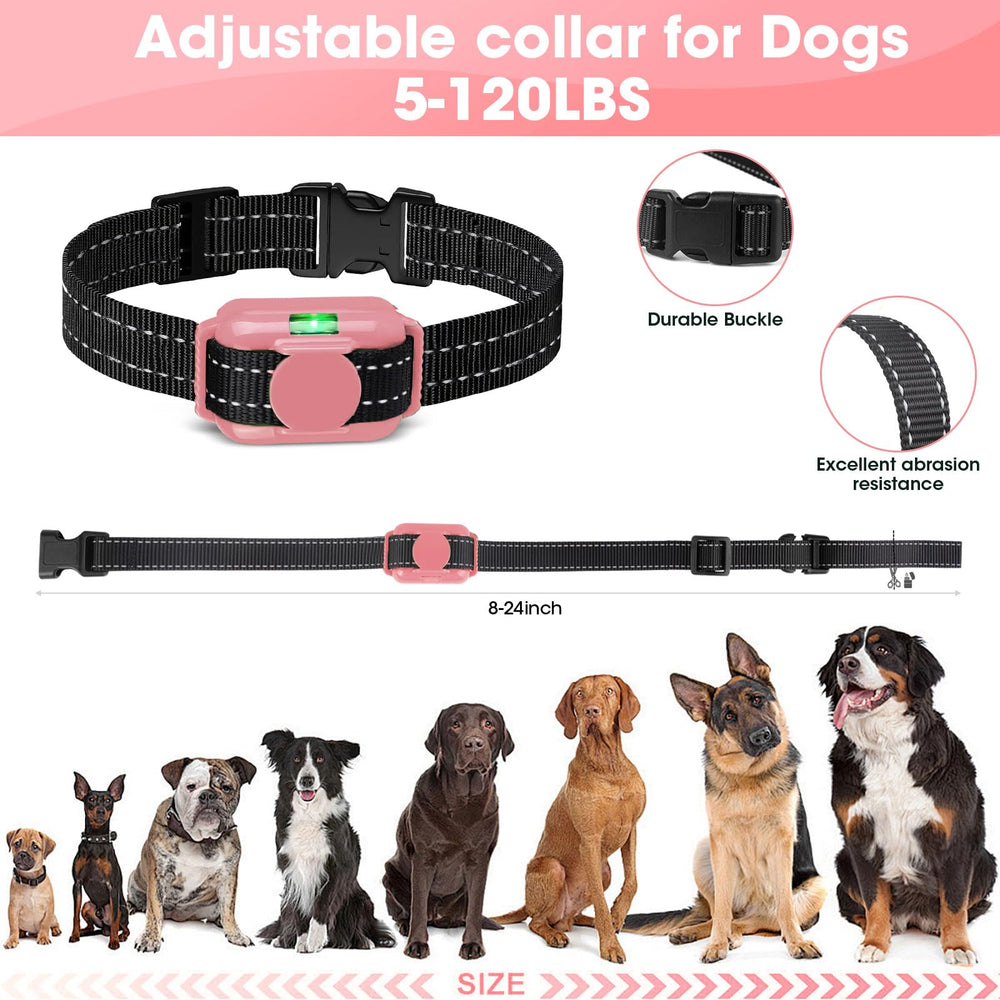 FASHILEAD pink color collar worn by a small dog during practice
