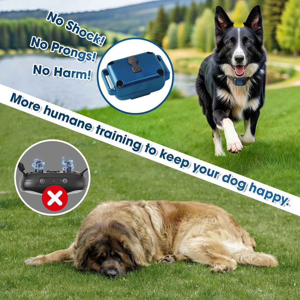 FASHILEAD remote with dual channels for training two dogs safely