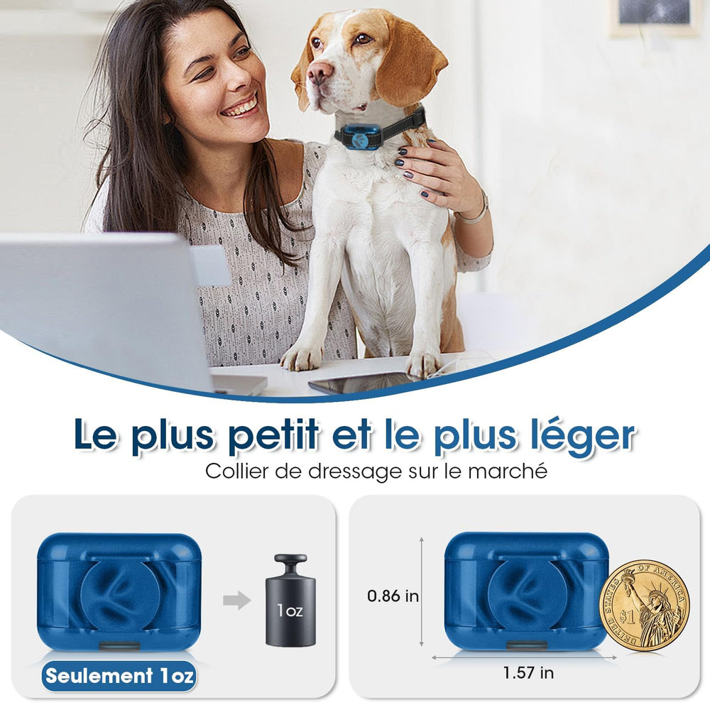 FASHILEAD two-dog remote controller for simultaneous training.