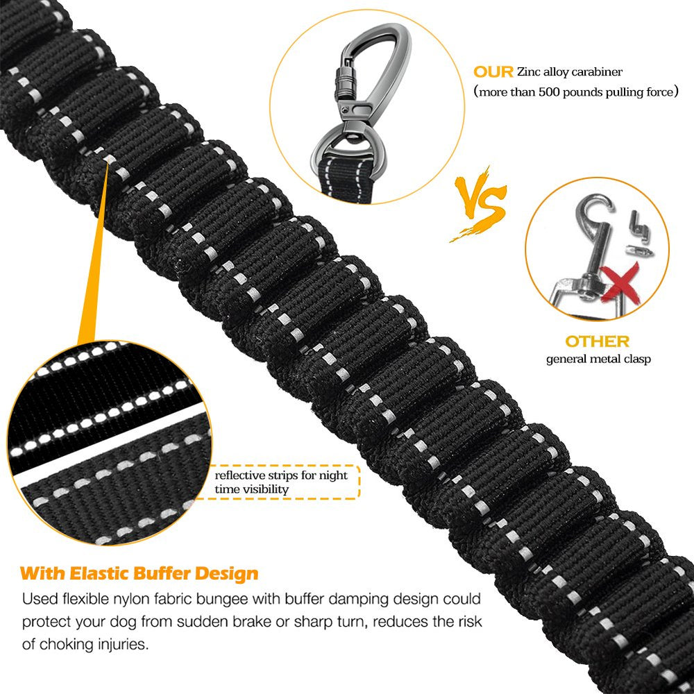 Fashion&cool durable nylon leash built for daily use.