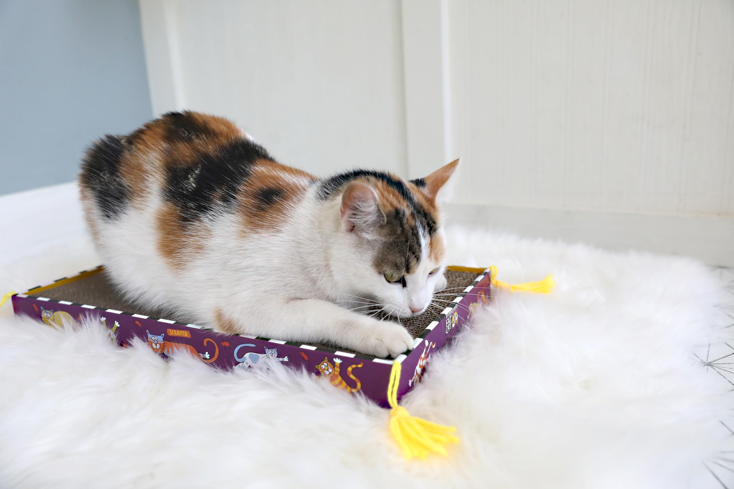 Fat Cat Zoom Around the Room catnip included to attract and entertain cats during playtime.
