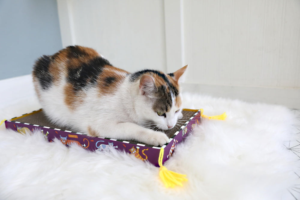 Fat Cat Zoom Around the Room catnip included to attract and entertain cats during playtime.