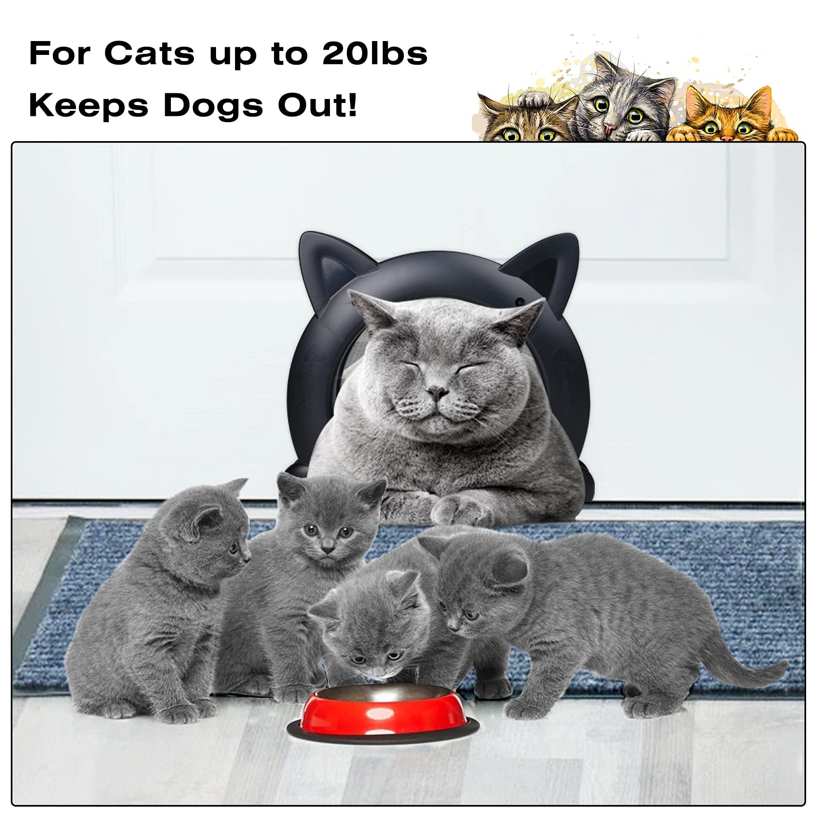 Fatdaa door hides litter box while providing easy access for cats.