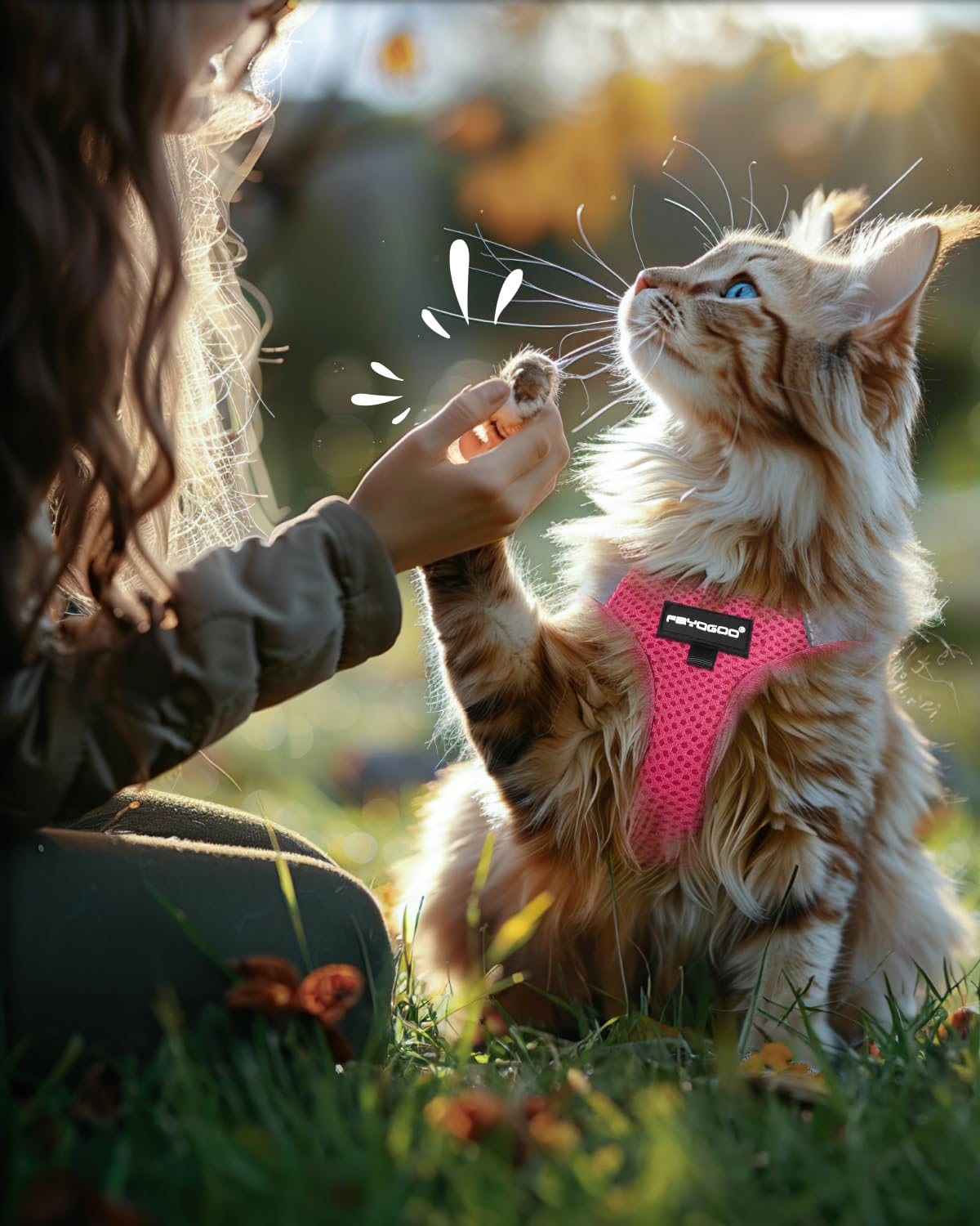 FAYOGOO soft padding keeps pets comfortable during long wear.