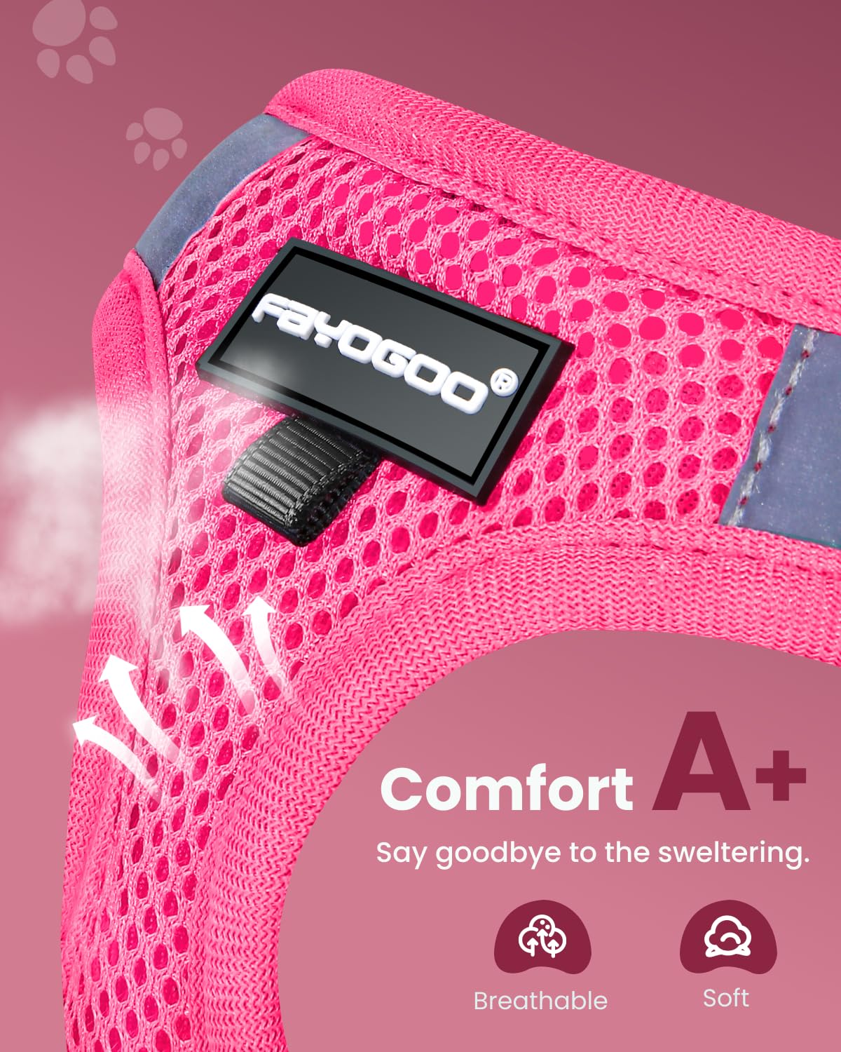 FAYOGOO leash shows 5 ft length for comfortable outdoor movement.