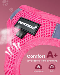 FAYOGOO leash shows 5 ft length for comfortable outdoor movement.