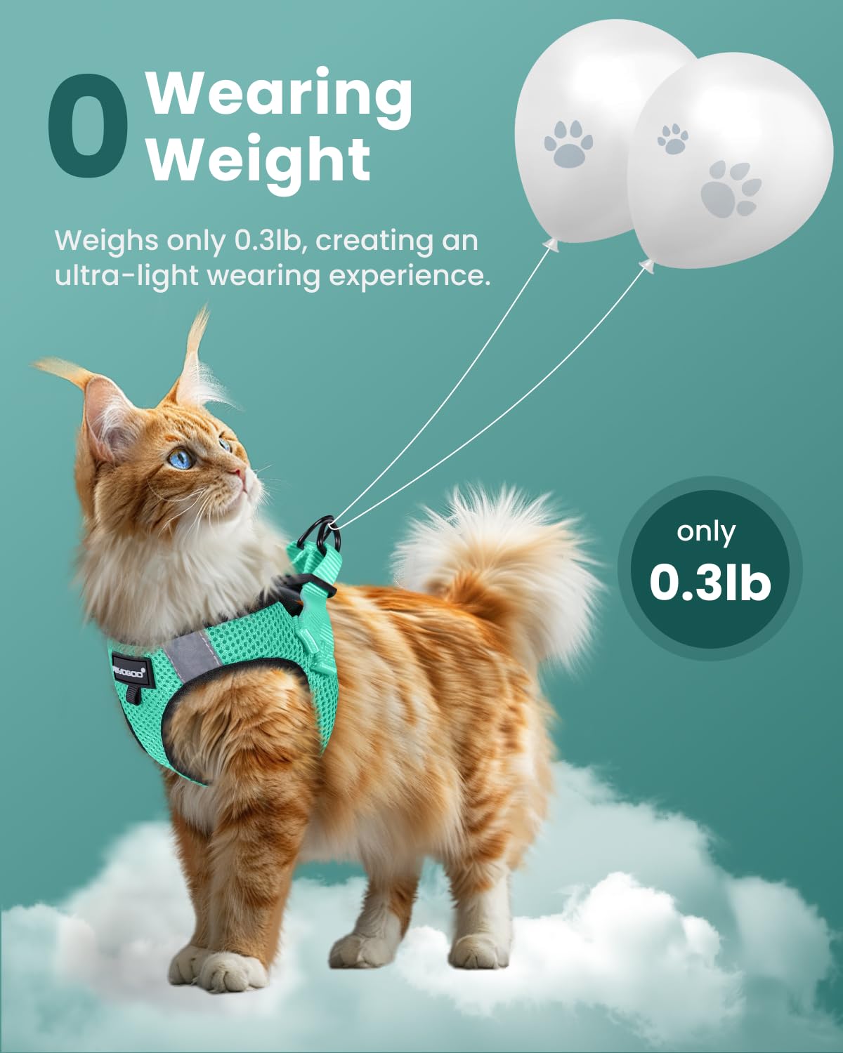FAYOGOO harness with reflective strip demonstrates night safety for visible evening strolls