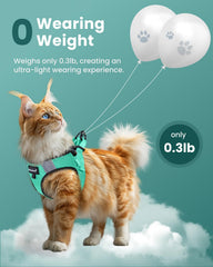 FAYOGOO harness with reflective strip demonstrates night safety for visible evening strolls