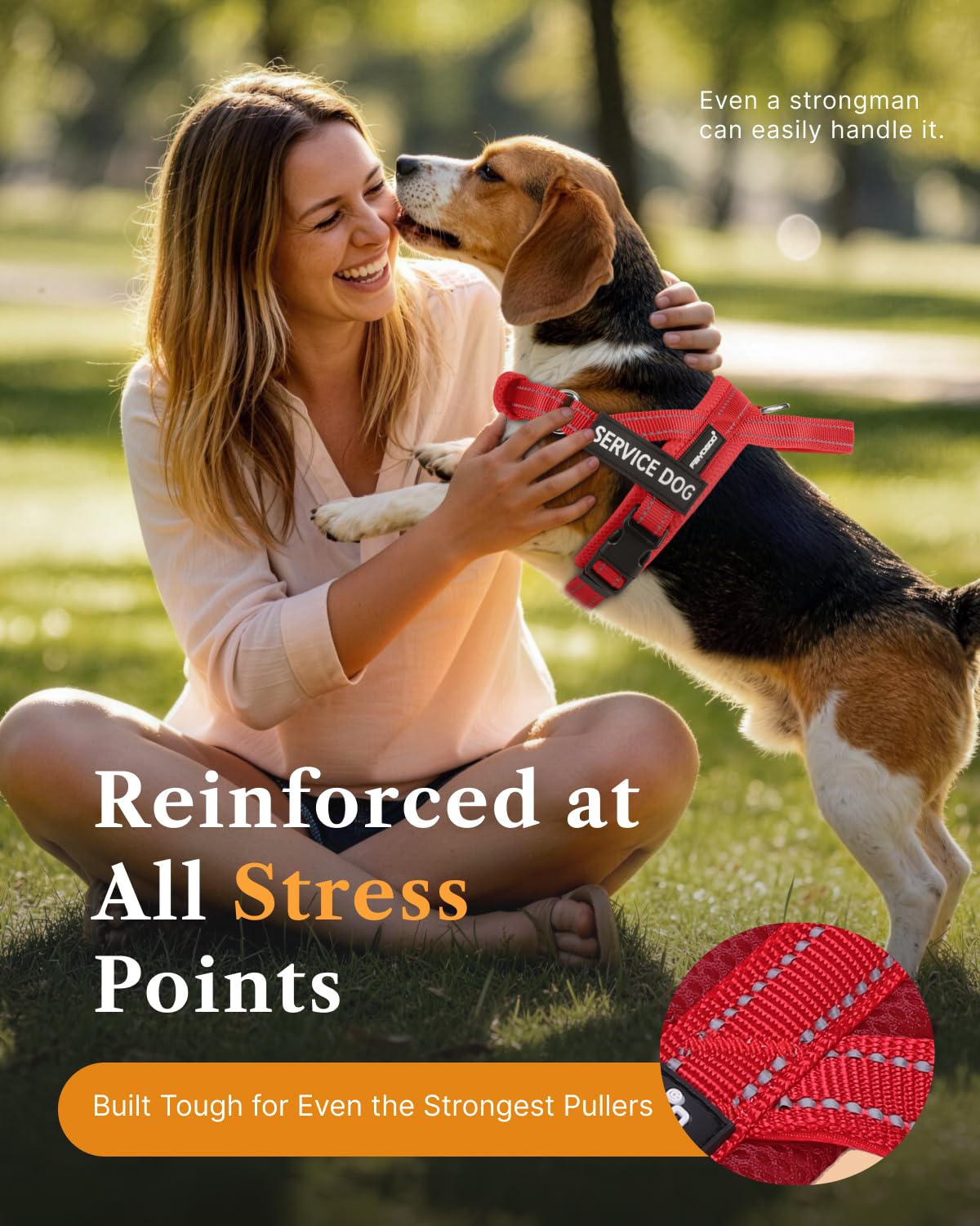 FAYOGOO comfortable fit for dogs of all sizes during extended wear