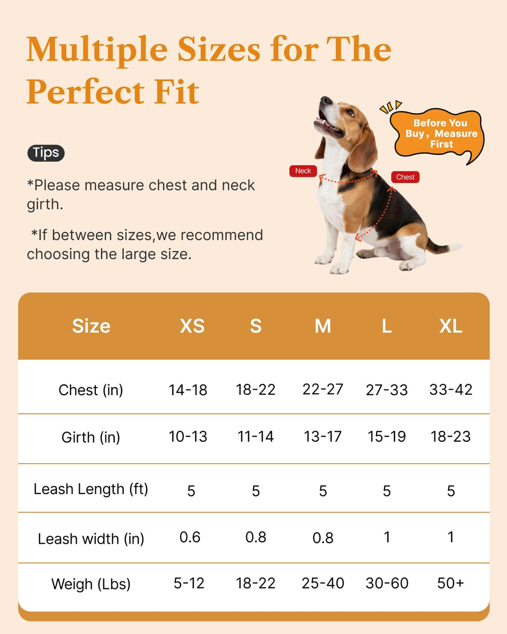 FAYOGOO vest ideal for daily walking and training routines