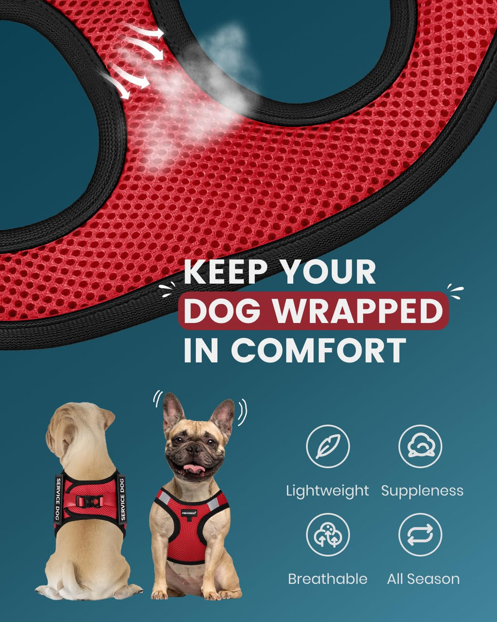 FAYOGOO escape-proof vest with Velcro and D-buckle for secure fit